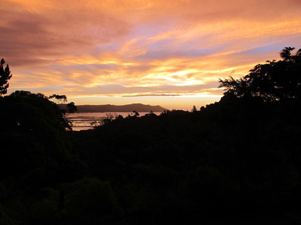Studio 531 Coromandel Zimmer foto